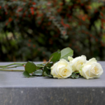Las-rosas-blancas-en-un-funeral